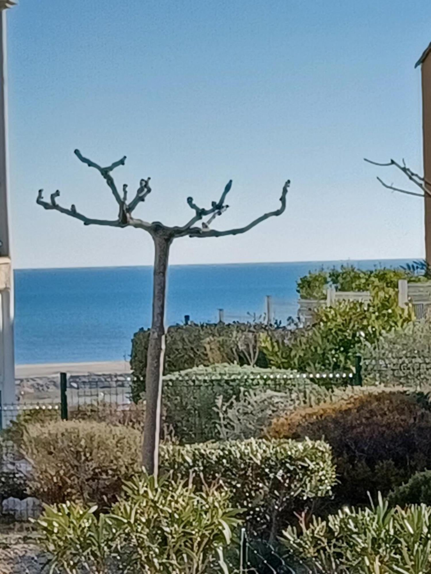 Plain-Pied Jardin 6 Personnes Clim Vue Mer Parking Wifi Terrasse Piscine Dans La Residence Saint-Pierre-la-Mer  Εξωτερικό φωτογραφία
