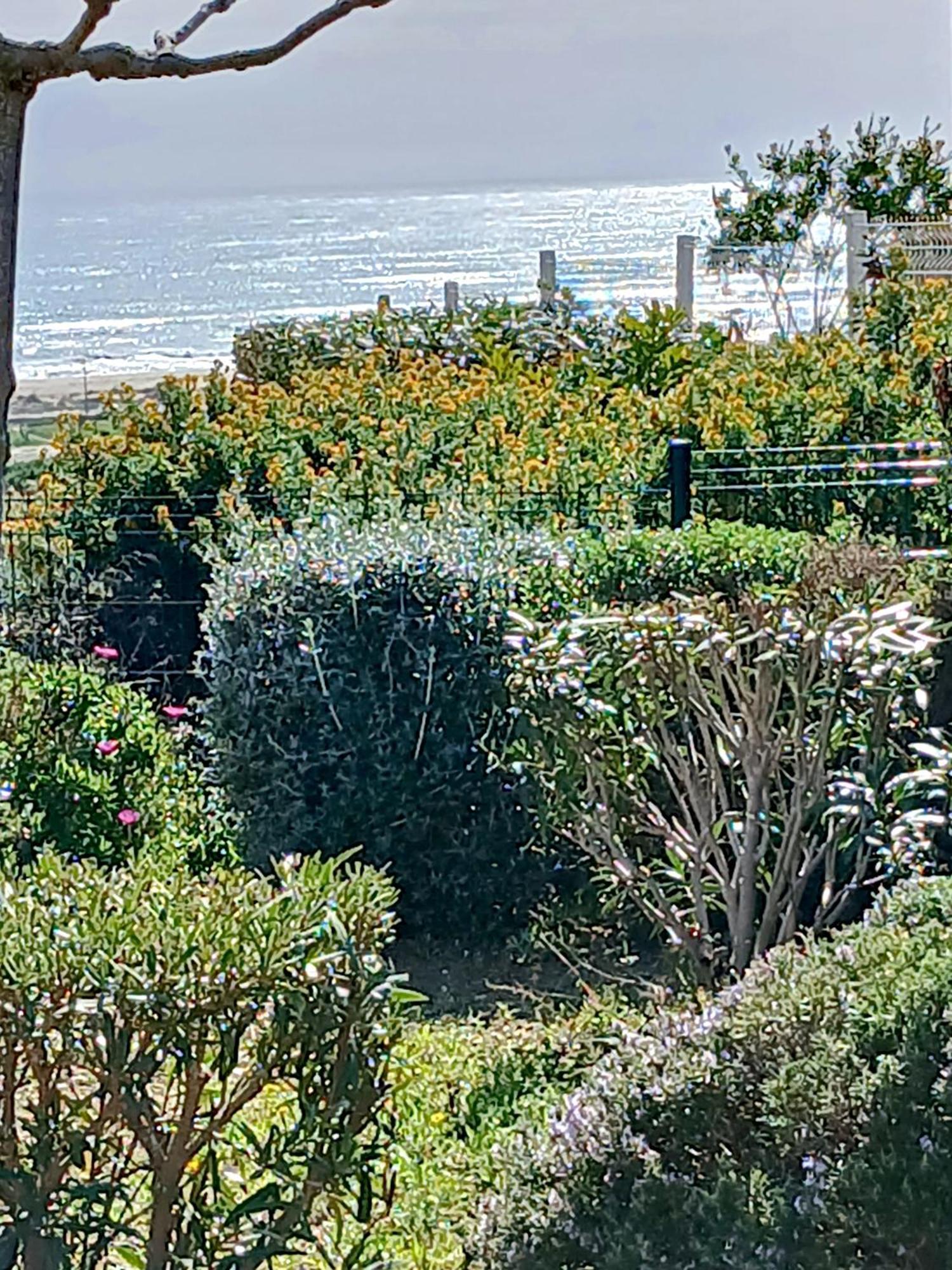 Plain-Pied Jardin 6 Personnes Clim Vue Mer Parking Wifi Terrasse Piscine Dans La Residence Saint-Pierre-la-Mer  Εξωτερικό φωτογραφία