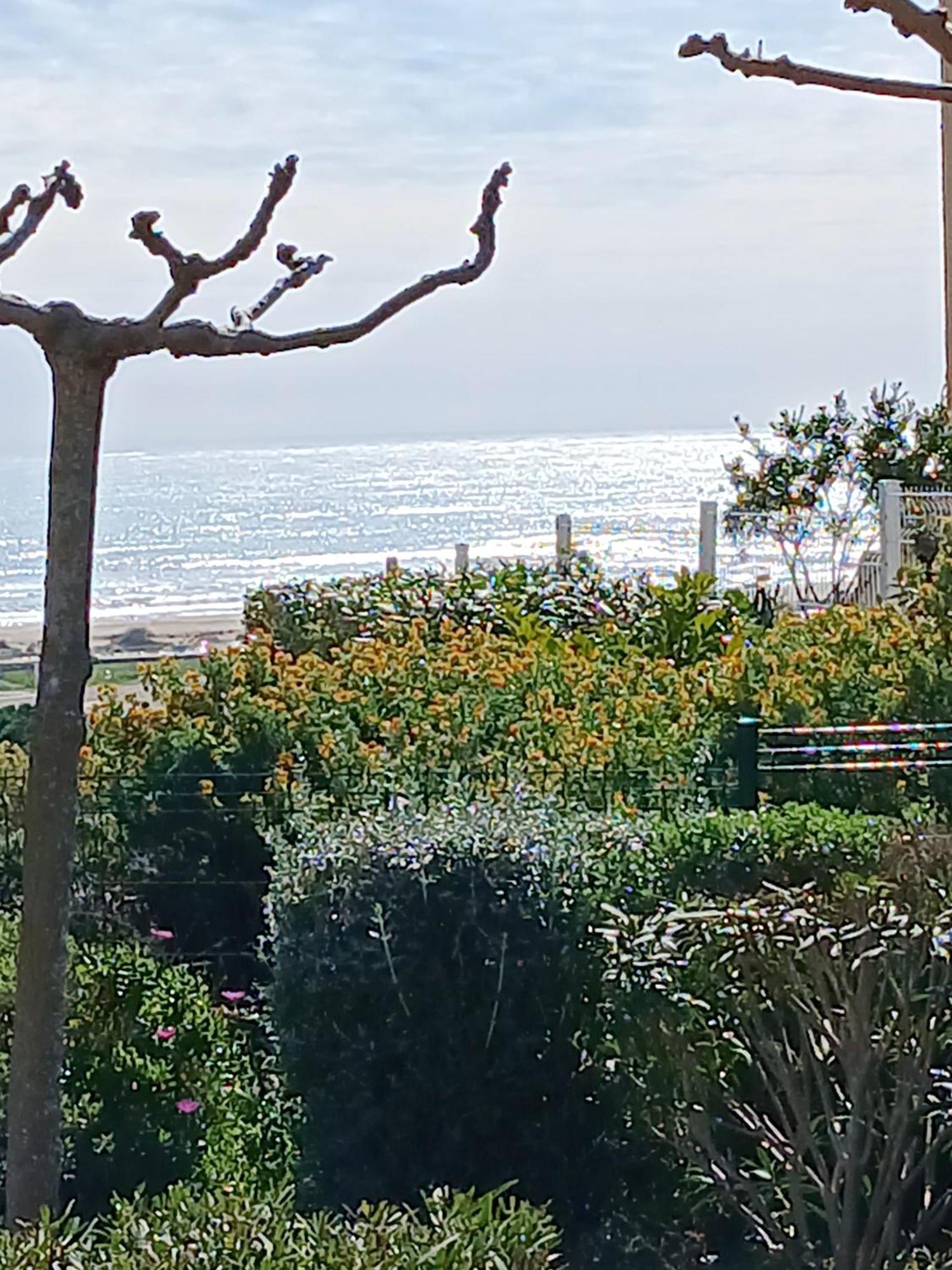 Plain-Pied Jardin 6 Personnes Clim Vue Mer Parking Wifi Terrasse Piscine Dans La Residence Saint-Pierre-la-Mer  Εξωτερικό φωτογραφία